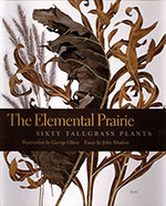 The Elemental Prairie