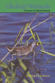 Okoboji Wetlands