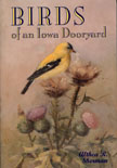 Birds of an Iowa Dooryard