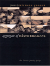 Aggregate of Disturbances